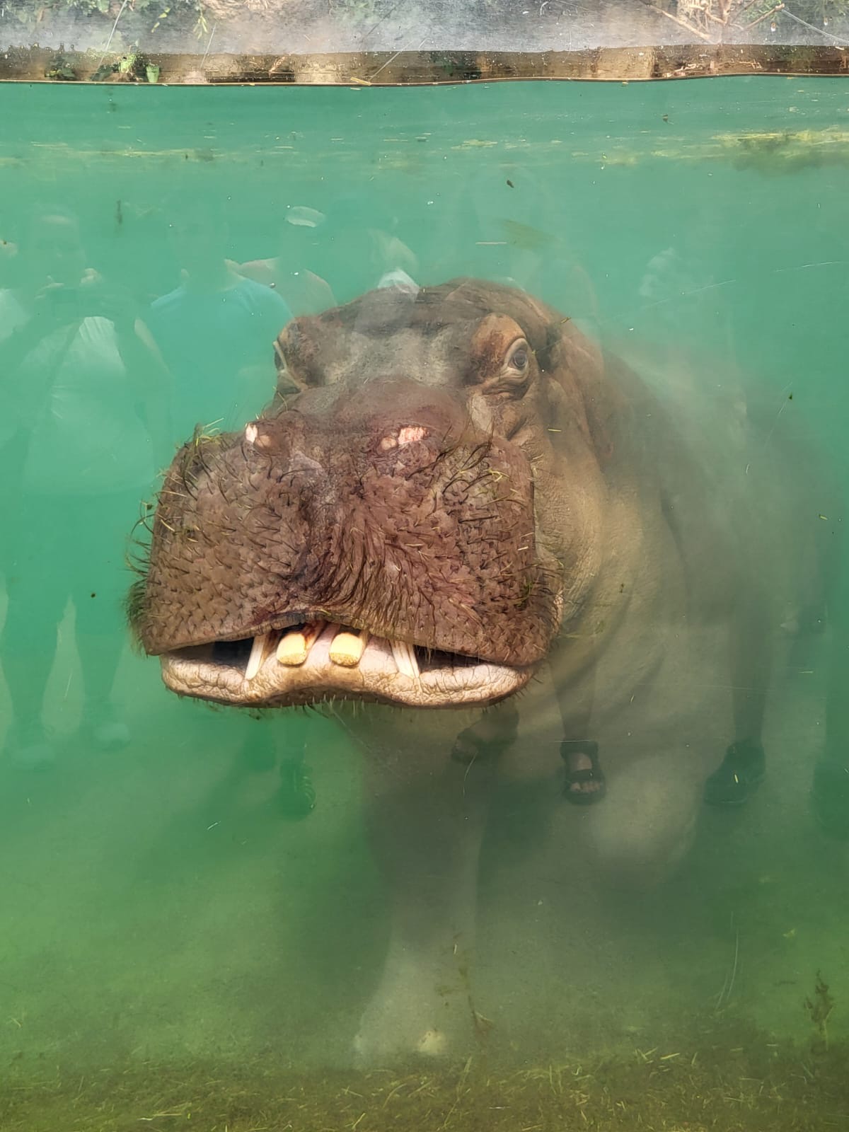 Unser Ausflug in den Kölner Zoo – am Samstag, den 28. Juni 2025